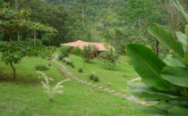 Cacatua Lodge bei Uvita, Costa Rica