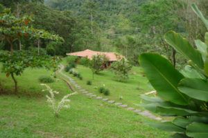 Cacatua Lodge near Uvita, Costa Rica