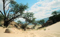 sand track Namibia