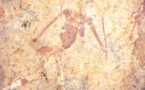 White Lady, Brandberg, Namibia