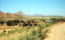 Khorixas in the Kunene region, Namibia