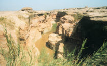 one of the main arms of the Uniab Delta, Namibia