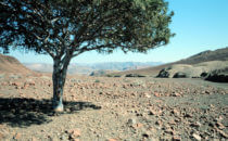 Namibia, landscape