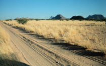 Namibia, sand track