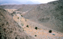 river bed of the Huab, Namibia