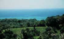 Roatán - Panorama, Honduras