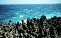 Roatán - rugged coast, Honduras