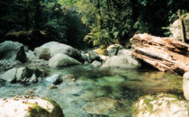 Pico Bonito Nationalpark, Honduras