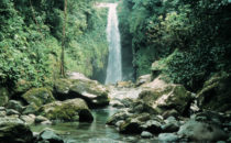 Pico Bonito Nationalpark, Honduras