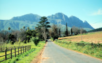 Wine region landscape, South Africa
