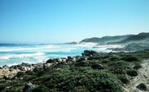 Küste der Kap-Halbinsel, South Africa