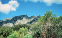 Cape Town - walking near the Table Mountain, South Africa