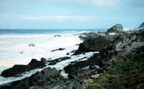 Tsitsikamma Nature Park, South Africa