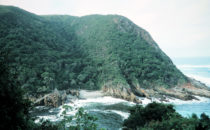 Tsitsikamma Nature Park - View of the suspension bridge, South Africa