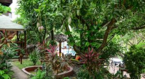 West Bay Lodge, Roatán, Honduras