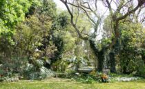 Positano Bed & Breakfast, Queenstown, South Africa