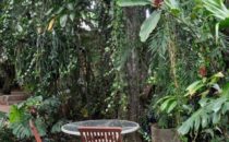 Hotel Aranjuez, San José, Costa Rica