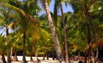 Isla Coiba, Panama