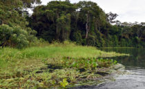 Rio Chagres, © K&T Ledermann, Panama