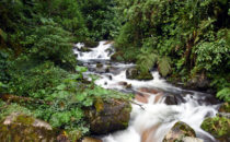 Bach bei Boquete, Panama