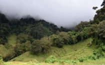 Landschaft bei Boquete, Panama