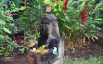Garten in Boquete, Panama