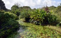 Bocas del Toro, © K&T Ledermann, Panama