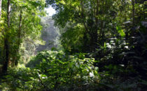 Gandoca – Manzanillo, Costa Rica