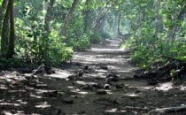bei Puerto Viejo, Costa Rica