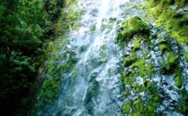 Waterfall in La Tigra National Park, Honduras