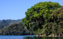 Lago de Yojoa, Honduras © D&D Brewery
