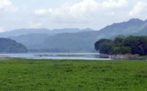Lago de Yojoa, Honduras © D&D Brewery