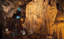 Taulabe Cave, Honduras © D&D Brewery