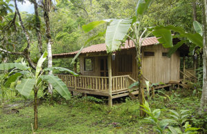 La Carolina Lodge, Vulkan Tenorio, Costa Rica