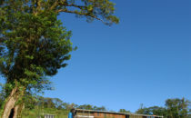 Celeste Mountain Lodge, Vulkan Tenorio, Costa Rica