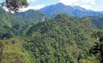 Cerro Azul Meámbar, Honduras © D&D Brewery