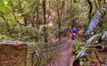 Cerro Azul Meámbar, Honduras © D&D Brewery
