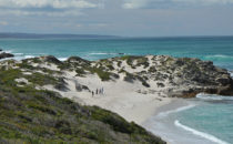 Sandy dunes, De Hoop Nature Reserve, South Africa