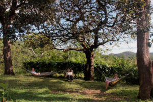 El Sol Verde Lodge, Rincón de la Vieja Nationalpark, Costa Rica