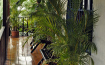 Orosi Lodge, Orosi, Costa Rica