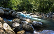 Paradise Coffee Plantation, Honduras © D&D Brewery
