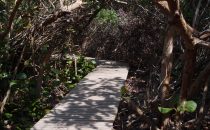 Tayrona Nationalpark - Weg, Kolumbien