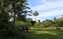 Rancho Cerro Azul, La Fortuna, Costa Rica