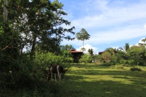 Rancho Cerro Azul, La Fortuna, Costa Rica