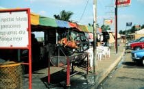 Barbecue on the lake shore, Managua, Nicaragua