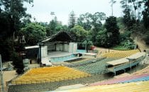 Amphitheater Quinta Vergara in Viña del Mar, Chile
