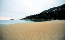 beach near Viña del Mar, Chile