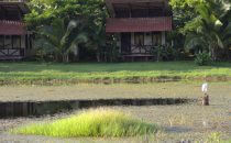 Maquenque Lodge