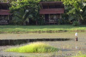 Maquenque Lodge