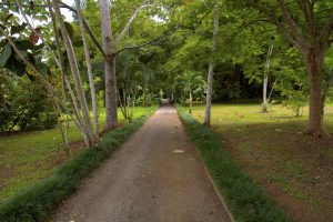 Maquenque Lodge